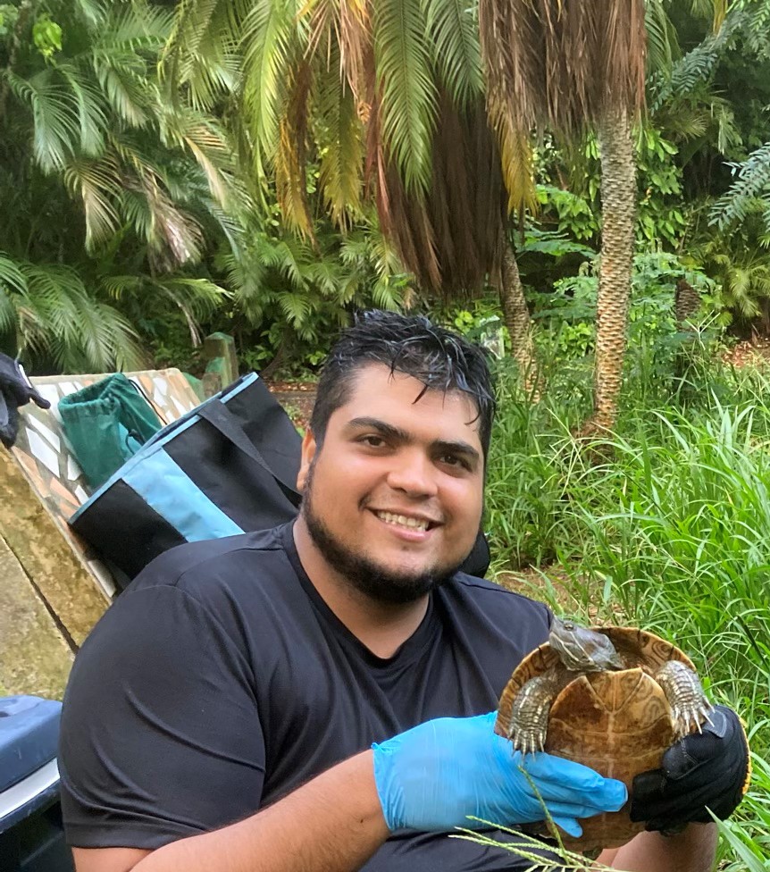 Field work in Puerto Rico studying freshwater turtles